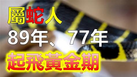 1989生肖蛇|生肖蛇: 性格，愛情，2024運勢，生肖1989，2001，2013